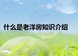 什么是老洋房知識(shí)介紹