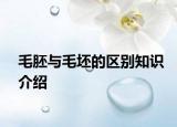 毛胚與毛坯的區(qū)別知識(shí)介紹