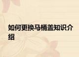 如何更換馬桶蓋知識介紹