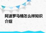 阿波羅馬桶怎么樣知識介紹
