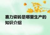 喜力瓷磚是哪里生產(chǎn)的知識介紹
