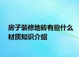 房子裝修地磚有些什么材質(zhì)知識(shí)介紹
