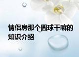 情侶房那個(gè)圓球干嘛的知識(shí)介紹