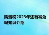 購置稅2023年還有減免嗎知識介紹