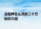 沒抵押怎么貸款二十萬知識介紹