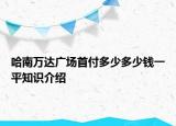 哈南萬(wàn)達(dá)廣場(chǎng)首付多少多少錢(qián)一平知識(shí)介紹
