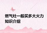 燃?xì)庠钜话阗I多大火力知識介紹