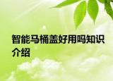 智能馬桶蓋好用嗎知識介紹