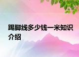 踢腳線多少錢(qián)一米知識(shí)介紹