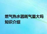 燃?xì)鉄崴骱臍饬看髥嶂R介紹