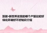 凱旋·新世界這里的哪個(gè)戶型比較好綠化環(huán)境好不好知識(shí)介紹