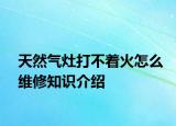 天然氣灶打不著火怎么維修知識介紹