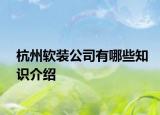 杭州軟裝公司有哪些知識(shí)介紹