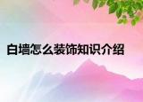 白墻怎么裝飾知識介紹