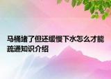 馬桶堵了但還緩慢下水怎么才能疏通知識介紹
