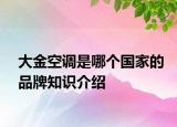 大金空調(diào)是哪個(gè)國(guó)家的品牌知識(shí)介紹