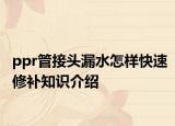 ppr管接頭漏水怎樣快速修補知識介紹