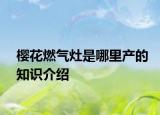 櫻花燃?xì)庠钍悄睦锂a(chǎn)的知識(shí)介紹
