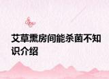 艾草熏房間能殺菌不知識介紹