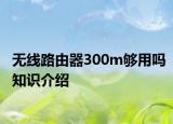 無線路由器300m夠用嗎知識介紹