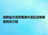 硅酸鹽水泥和普通水泥區(qū)別有哪些知識(shí)介紹