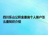 四川樂山公積金查詢個人賬戶怎么查知識介紹