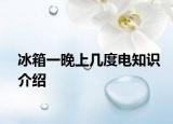 冰箱一晚上幾度電知識介紹