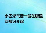 小區(qū)燃?xì)赓M(fèi)一般在哪里交知識(shí)介紹