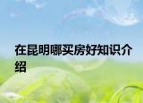 在昆明哪買(mǎi)房好知識(shí)介紹
