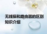無(wú)線貓和路由器的區(qū)別知識(shí)介紹