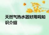天然氣熱水器好用嗎知識介紹