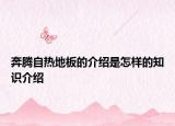奔騰自熱地板的介紹是怎樣的知識介紹
