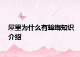 屋里為什么有蟑螂知識(shí)介紹
