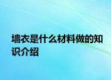 墻衣是什么材料做的知識介紹