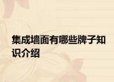 集成墻面有哪些牌子知識介紹