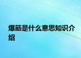 爆筋是什么意思知識(shí)介紹