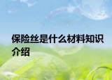 保險絲是什么材料知識介紹