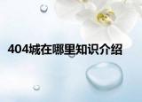 404城在哪里知識介紹