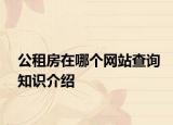 公租房在哪個(gè)網(wǎng)站查詢知識(shí)介紹