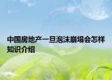 中國(guó)房地產(chǎn)一旦泡沫崩塌會(huì)怎樣知識(shí)介紹