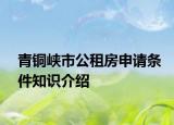 青銅峽市公租房申請條件知識介紹