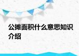 公攤面積什么意思知識(shí)介紹