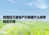 我想問下房地產(chǎn)行銷是什么意思知識介紹