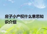 房子小產(chǎn)權(quán)什么意思知識介紹