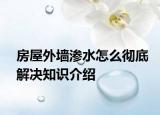 房屋外墻滲水怎么徹底解決知識(shí)介紹