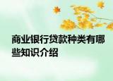 商業(yè)銀行貸款種類有哪些知識介紹