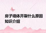 房子墻體開裂什么原因知識介紹