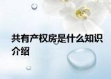 共有產(chǎn)權(quán)房是什么知識(shí)介紹