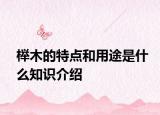 櫸木的特點(diǎn)和用途是什么知識(shí)介紹