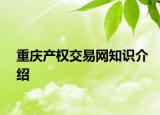 重慶產(chǎn)權交易網(wǎng)知識介紹